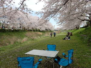 今回の花見場所の画像13