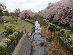 鳩川の画像24