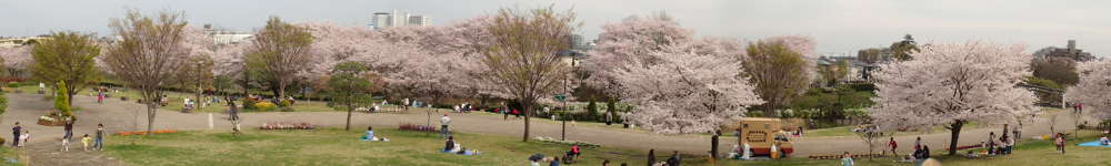 神奈川県立　相模三川公園の表紙イメージ画像