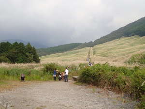 遊歩道の入口の画像12