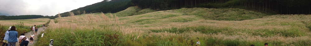 箱根　仙石原　すすき草原の表紙イメージ画像
