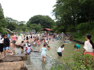 人工の川「せせらぎ」で水遊びの画像16