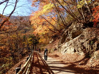 ⑥まだ紅葉中の画像08