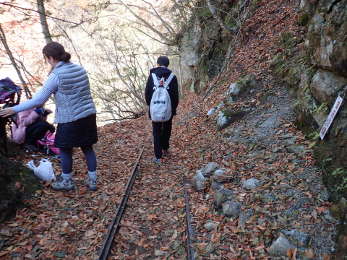 トロッコ道で帰路への画像28