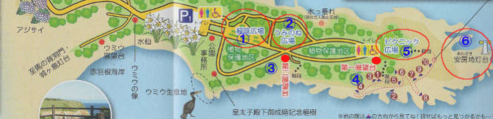 県立 城ヶ島公園のマップの画像04