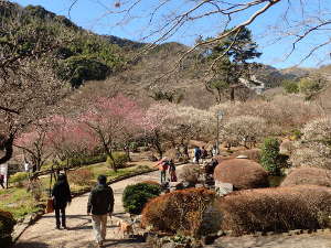 ⑫香林亭前の梅の画像19