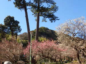 ⑭正面入口の裏側の光景の画像22