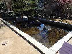 韓国庭園の方池円島の画像27