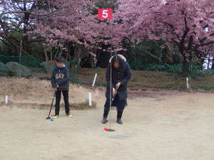 早咲きの桜の前でのパークゴルフの画像03