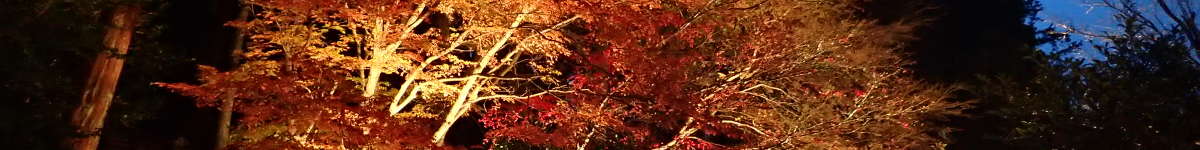 大山の「紅葉ライトアップ」の表紙イメージ画像