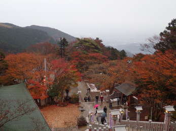 大山阿夫利神社階段前の紅葉と相模平野の画像14
