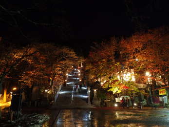 ライトアップ時の大山阿夫利神社下社石段の画像15