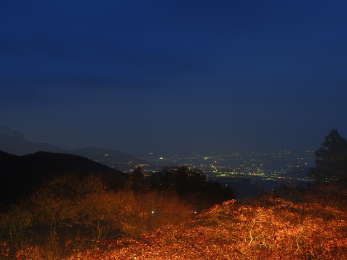 境内から見た夜景と紅葉の画像19