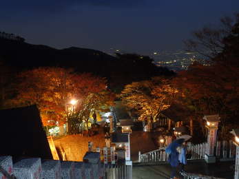 石段から見下ろした夜景と紅葉の画像20