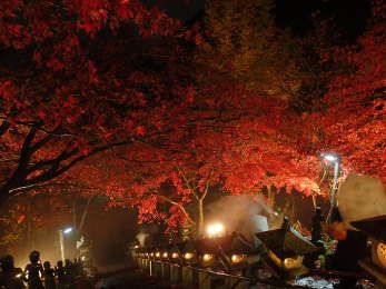 上から見た大山寺参道の紅葉の画像22