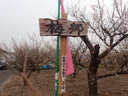 十字路の名称看板の画像21