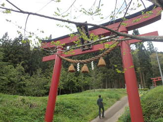 小島稲荷神社の画像22