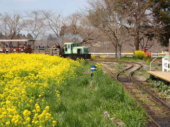 トロッコ列車の画像09