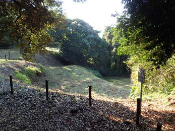 東平場の画像19