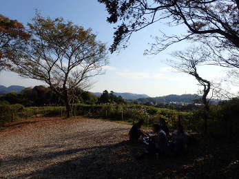 展望広場(西側）の画像22