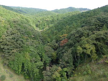 東側の山並みの画像07