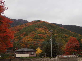 「もみじ回廊」から見た山の画像09