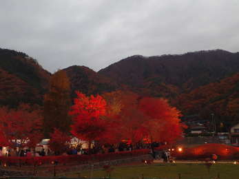 夕暮れ時のモミジ広場の画像19