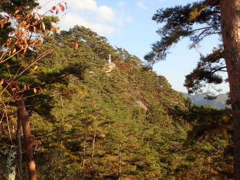 弥三郎岳の画像09