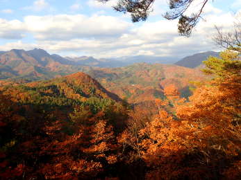 山肌の紅葉の画像17