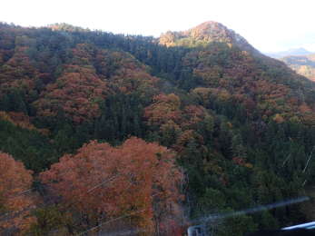 尾根の紅葉の画像23