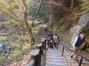 仙娥滝に向かう遊歩道の画像10