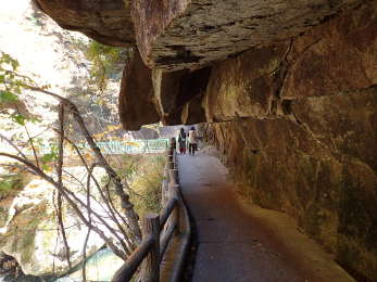 遊歩道の画像12