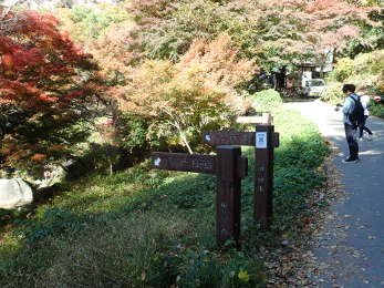 夢の松島への看板の画像22