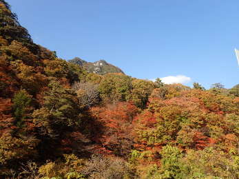 山肌の紅葉もすばらしいの画像36