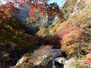 絶景席からの覚円峰と天狗岩の画像46