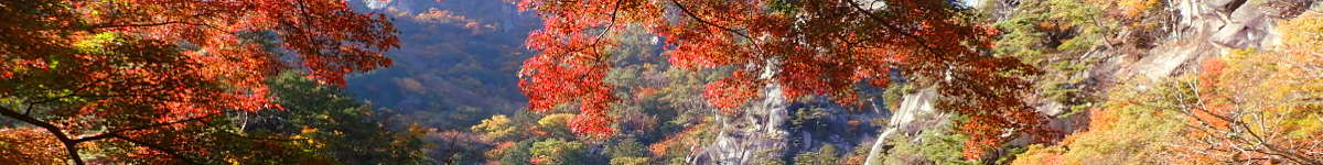 山(5)：紅葉の昇仙峡（山梨県甲府）の表紙イメージ画像
