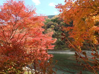 モミジと世附川の画像15