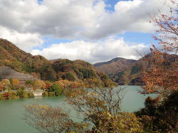 中央から千代の沢園地方面を見るの画像24