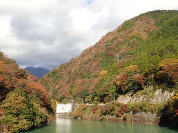 ユーシン渓谷へ向かう登山道側の画像28