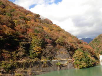 北湖畔山肌の紅葉の画像31