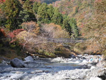 つり橋の画像37