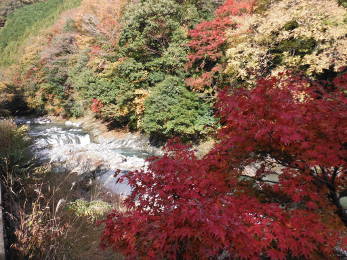 渓谷の紅葉の画像38