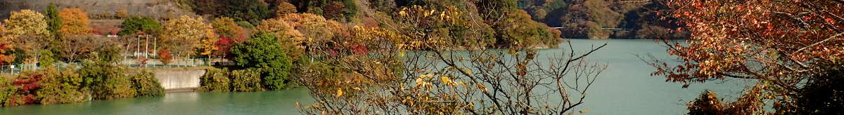 紅葉の丹沢湖の表紙イメージ画像