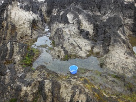 三浦特有の岩の間に水溜り