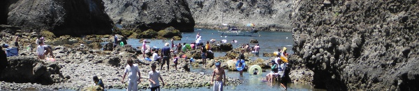 伊豆半島　ヒリゾ浜