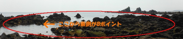 真鶴半島　三ッ石海岸（三ツ石海岸）Ｂポイント