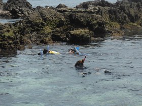 外海に近い湾状態のポイント