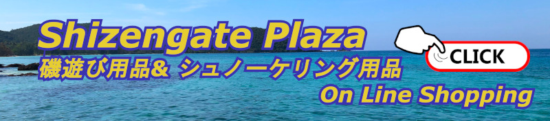 ShizengatePlaza