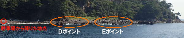 真鶴半島　番場浦海岸(東側）