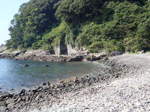 大きめ目のゴロ石からなる海岸